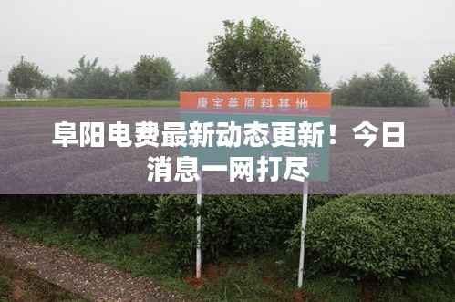 阜阳电费最新动态更新!今日消息一网打尽