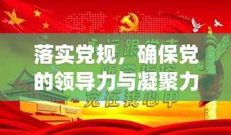 落实党规,确保党的领导力与凝聚力
