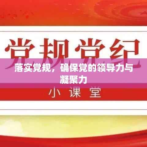 落实党规,确保党的领导力与凝聚力
