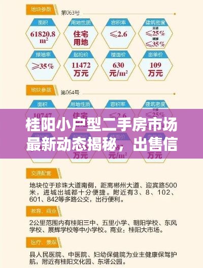 后会难期 第3页