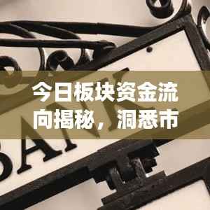 今日板块资金流向揭秘，洞悉市场脉动，把握投资机会！