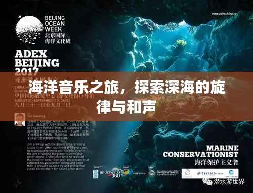 海洋音乐之旅，探索深海的旋律与和声