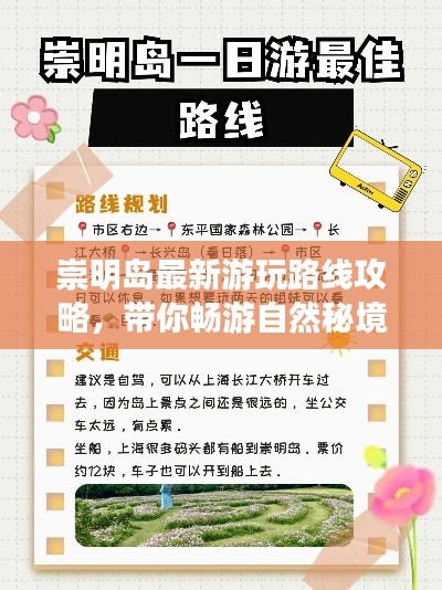 崇明岛最新游玩路线攻略,带你畅游自然秘境!