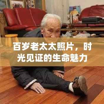 百岁老太太照片,时光见证的生命魅力与美丽