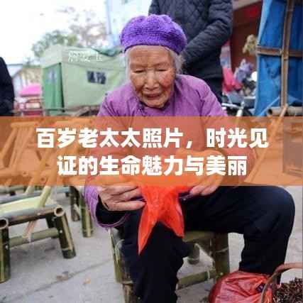百岁老太太照片,时光见证的生命魅力与美丽