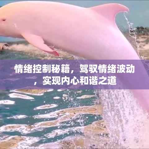 情绪控制秘籍，驾驭情绪波动，实现内心和谐之道