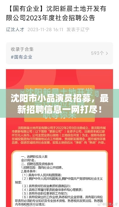 沈阳市小品演员招募，最新招聘信息一网打尽！