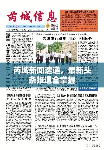 芮城新闻速递,最新头条报道全掌握