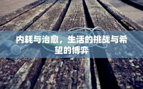 内耗与治愈,生活的挑战与希望的博弈