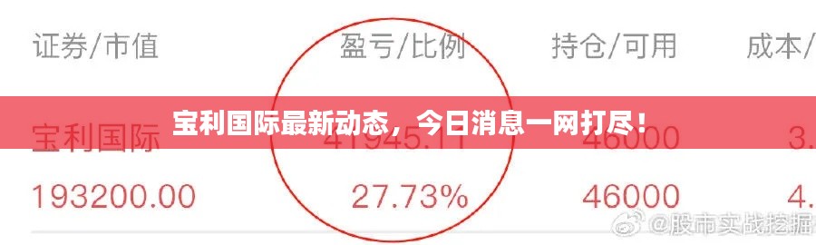 宝利国际最新动态,今日消息一网打尽!