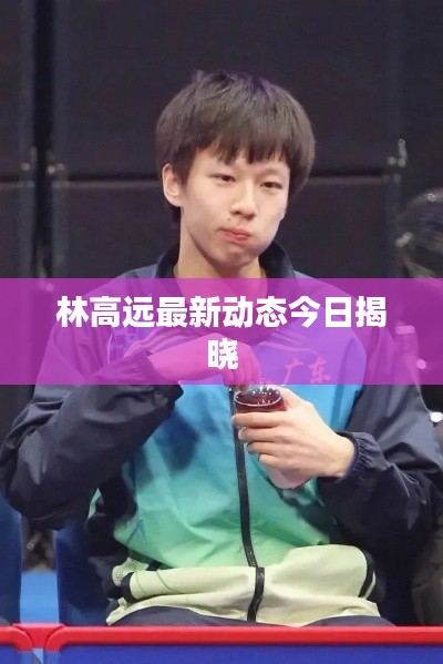 林高远最新动态今日揭晓