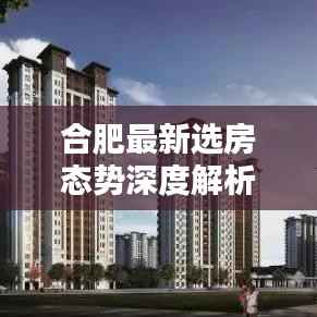合肥最新选房态势深度解析