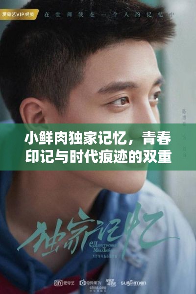 小鲜肉独家记忆,青春印记与时代痕迹的双重奏