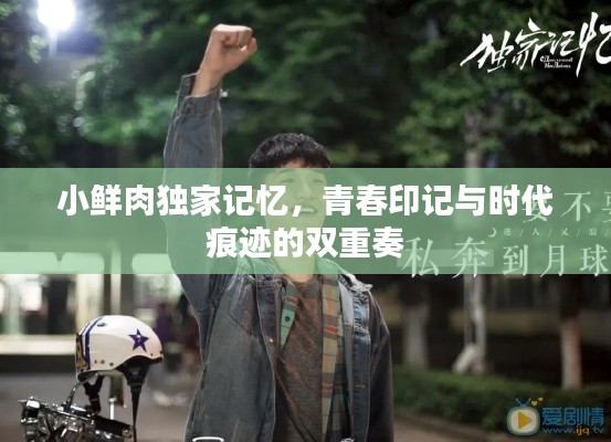 小鲜肉独家记忆,青春印记与时代痕迹的双重奏
