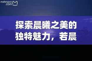 探索晨曦之美的独特魅力,若晨专题