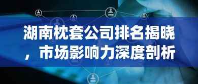 湖南枕套公司排名揭晓，市场影响力深度剖析