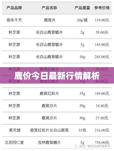 鹿价今日最新行情解析