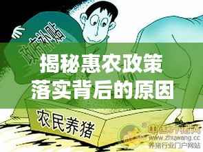 富贵荣华 第3页