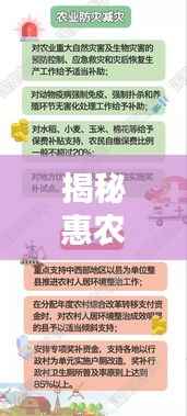 揭秘惠农政策落实背后的原因与意义