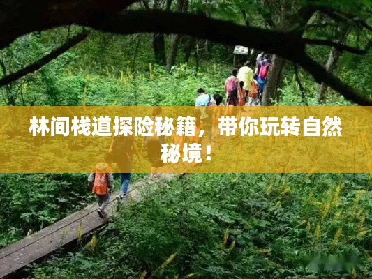 林间栈道探险秘籍,带你玩转自然秘境!