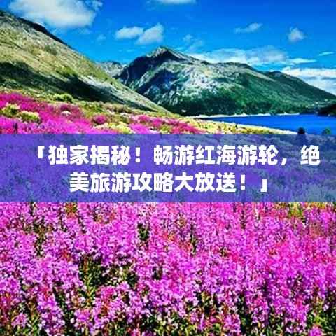 「独家揭秘!畅游红海游轮,绝美旅游攻略大放送!」