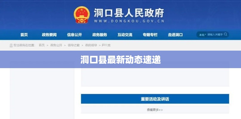 洞口县最新动态速递