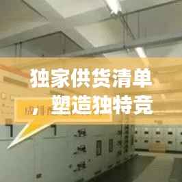 独家供货清单，塑造独特竞争优势，引领市场新潮流