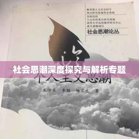社会思潮深度探究与解析专题