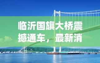 临沂国旗大桥震撼通车，最新消息抢先看！
