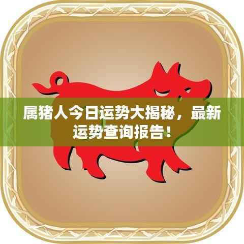 属猪人今日运势大揭秘,最新运势查询报告!