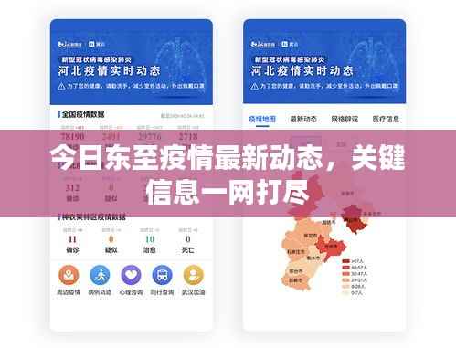 今日东至疫情最新动态，关键信息一网打尽