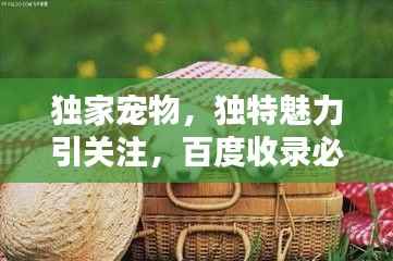 独家宠物，独特魅力引关注，百度收录必备标题！