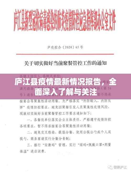 庐江县疫情最新情况报告，全面深入了解与关注