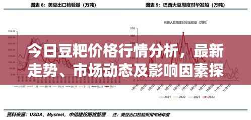 今日豆粑价格行情分析，最新走势、市场动态及影响因素探讨