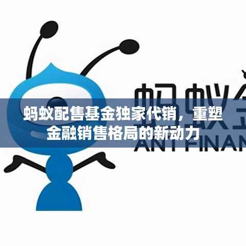 蚂蚁配售基金独家代销，重塑金融销售格局的新动力