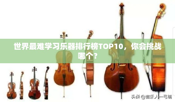 世界最难学习乐器排行榜TOP10,你会挑战哪个?