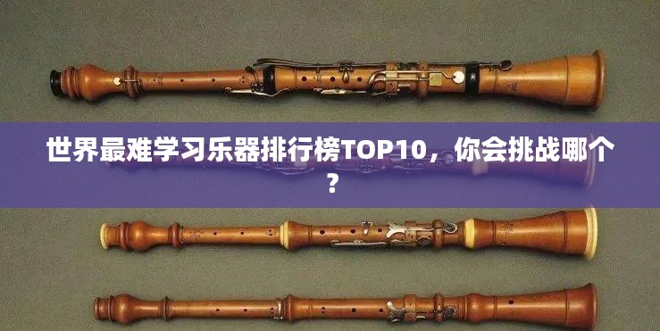 世界最难学习乐器排行榜TOP10,你会挑战哪个?