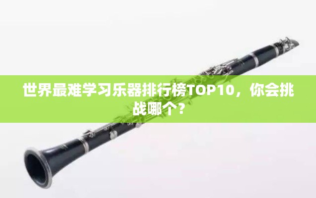 世界最难学习乐器排行榜TOP10,你会挑战哪个?