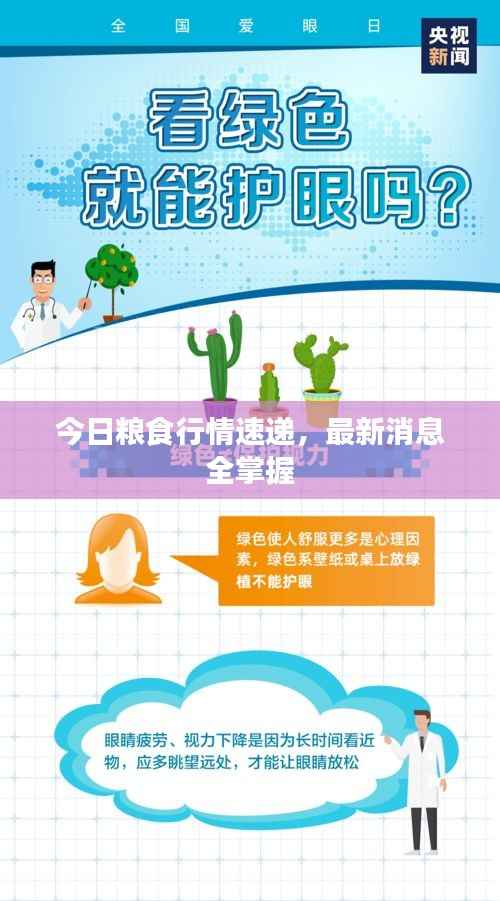 今日粮食行情速递,最新消息全掌握