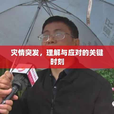 灾情突发，理解与应对的关键时刻