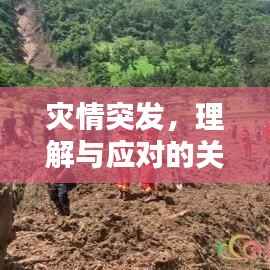 灾情突发,理解与应对的关键时刻