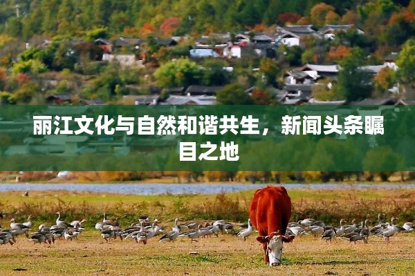 丽江文化与自然和谐共生，新闻头条瞩目之地