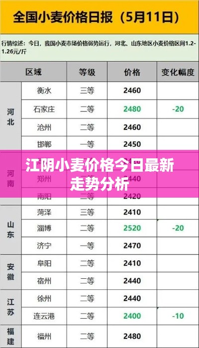 江阴小麦价格今日最新走势分析