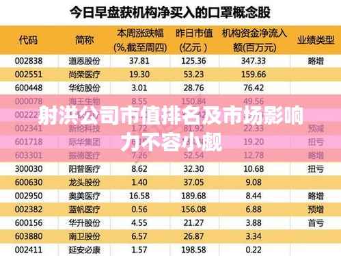 射洪公司市值排名及市场影响力不容小觑