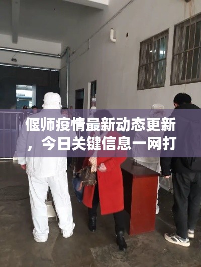 偃师疫情最新动态更新,今日关键信息一网打尽