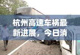 杭州高速车祸最新进展,今日消息全解析