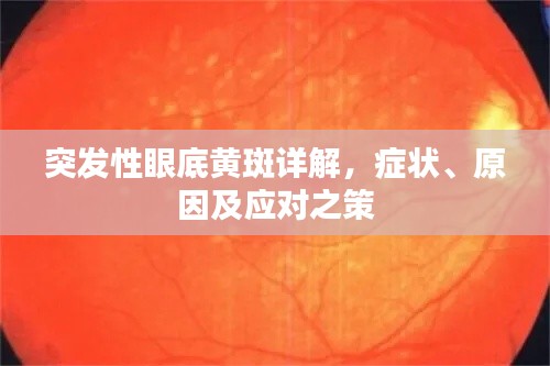 突发性眼底黄斑详解，症状、原因及应对之策