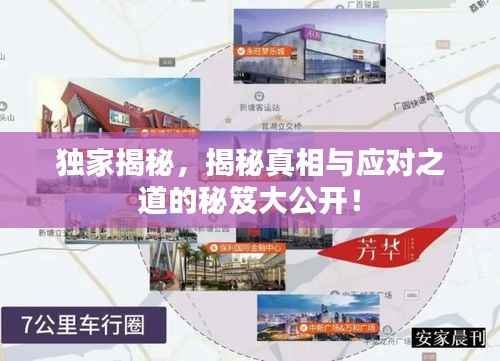 独家揭秘，揭秘真相与应对之道的秘笈大公开！