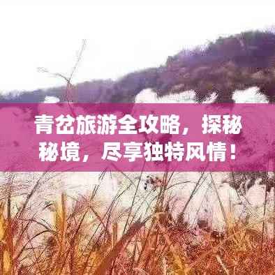 青岔旅游全攻略,探秘秘境,尽享独特风情!