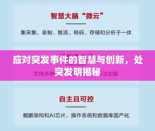 应对突发事件的智慧与创新,处突发明揭秘